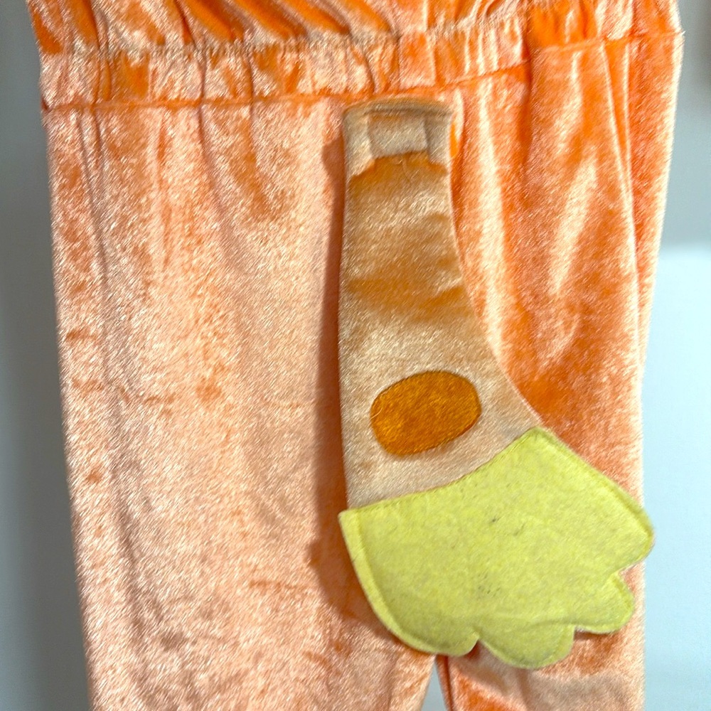 Bluey Bingo Halloween Costume - Picture 2 of 4